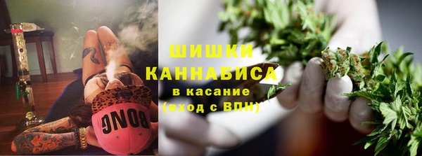 spice Алзамай