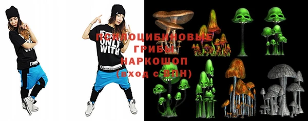 дурь Алексин